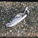 銀爪メタル付き特大フェザー　(福岡)