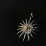 0808「なぜモチーフがウニ?」(名古屋大須)