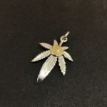 1004　｢意外な人気者｣　(渋谷)